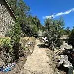 La Pastourelle En Lozère *