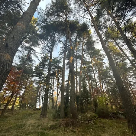 La Pastourelle En Lozere